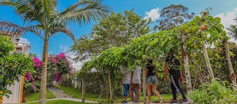 Milagros/Coffee Area Escape · Perfect Rest after a Day of Fun