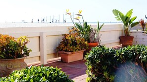 A terrace with potted plants and a view of the beach.