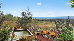 A garden with a pond, various plants, and a view of the horizon. - No longer available for short term rental due to county restrictions (Captain Cook)