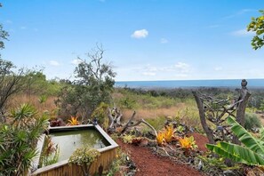 Property grounds - Hawaiian home with incredible ocean views, orchids, and gorgeous sunsets (Captain Cook)