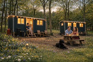 Outdoor dining - Glamping Shepherds Hut in Holt Hollow, Rural North Norfolk, Dog Friendly (Holt)
