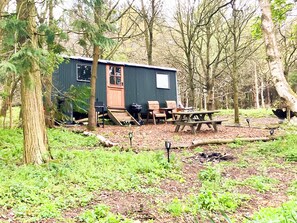 Exterior - Glamping Shepherds Hut in Holt Hollow, Rural North Norfolk, Dog Friendly (Holt)