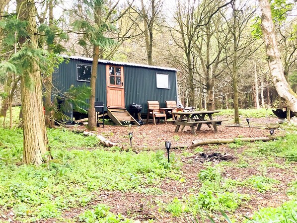 Exterior - Glamping Shepherds Hut in Holt Hollow, Rural North Norfolk, Dog Friendly (Holt)