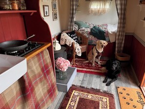 Interior - Glamping Shepherds Hut in Holt Hollow, Rural North Norfolk, Dog Friendly (Holt)