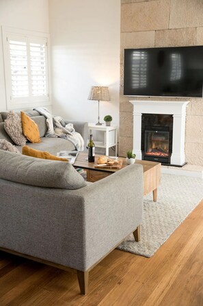 Smart TV, fireplace, books