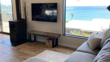 TV connectée, cheminée, livres