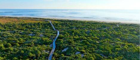 Accommodatie ligt op het strand