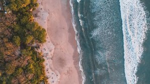 An aerial view of a beach with trees and a sandy shore. - Great location, walking distance to the beach -E (Puntarenas)