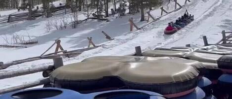 A snowy landscape with a sledding hill, trees, and a row of inflatable tubes.