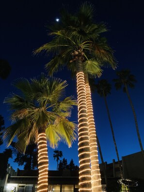 Property grounds - Vintage condo & views! Retro Vibe in Old Town with heated & cooled-pool & spa (Scottsdale)
