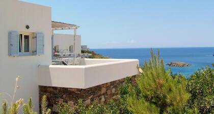 Luxurious Villa on the famous glp cat sanctuary