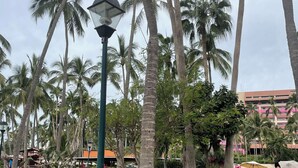 Ein angelegter Garten mit Palmen, einer Lampe und einem Gebäude im Hintergrund.