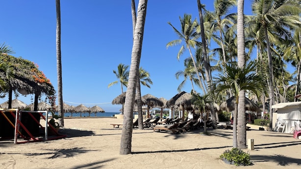 Ein Strand mit Palmen, Reetdachsonnenliegen und Liegestühlen.