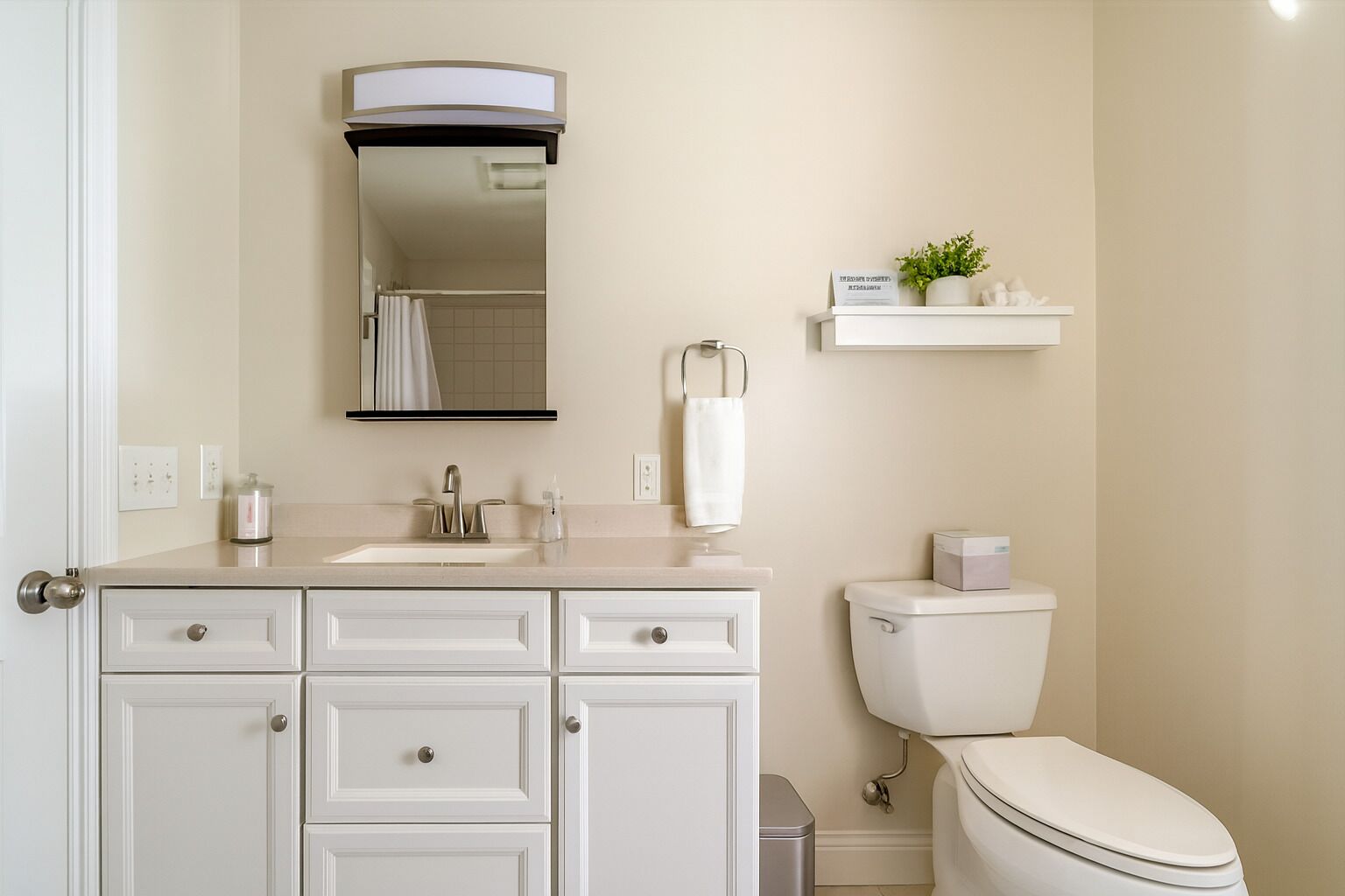 Une salle de bain moderne avec un meuble-lavabo blanc, un évier, un miroir, des toilettes et une petite étagère sur laquelle est posée une plante.