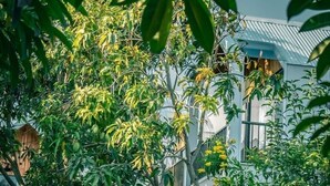 Un edificio moderno de fachada blanca, rodeado de abundante vegetación y árboles.