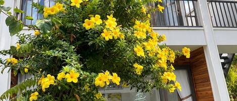 Une maison moderne à deux étages, dotée d’un balcon, d’un jardin parsemé de fleurs jaunes et d’une terrasse avec deux chaises.
