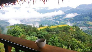 Landuitzicht vanuit accommodatie