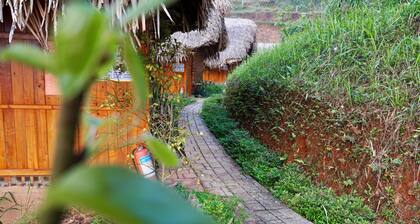 MONG NGUA BUNGALOW & HOMESTAY