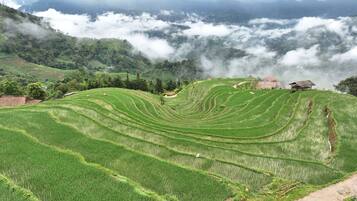 Terraced rice fields with a small structure on a hill.