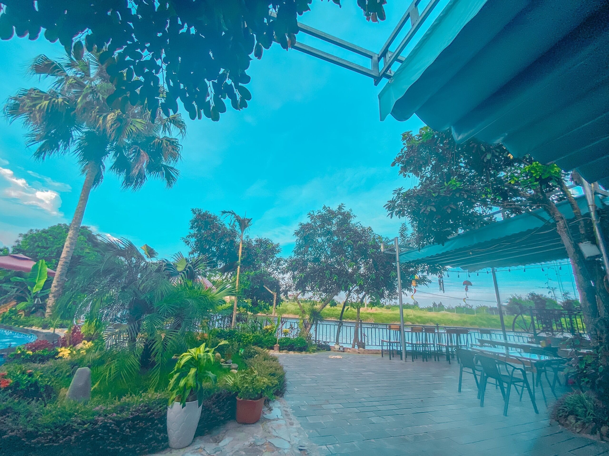 A covered outdoor seating area with a view of a body of water, surrounded by lush greenery and potted plants.