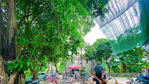 Un espace extérieur abrité où sont garés des vélos, entouré d’arbres et de verdure.