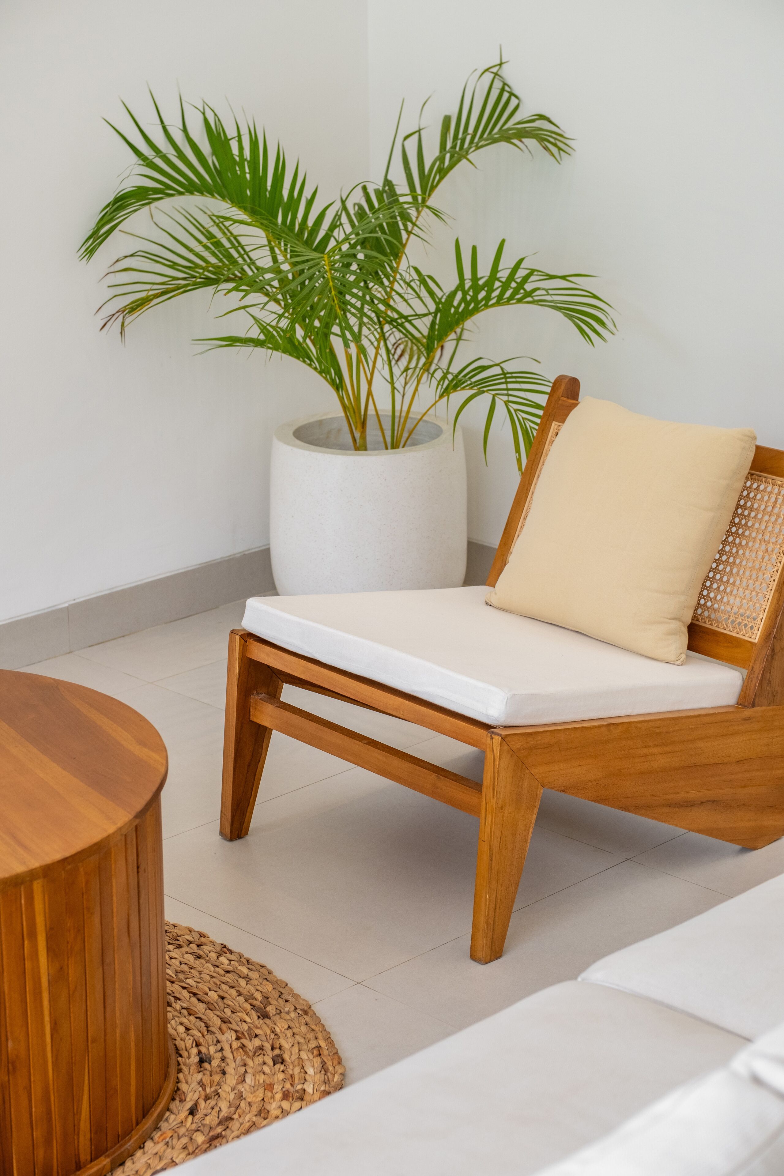 A wooden chair with a cushion and a woven mat, a round wooden table, and a large potted plant against a white wall.