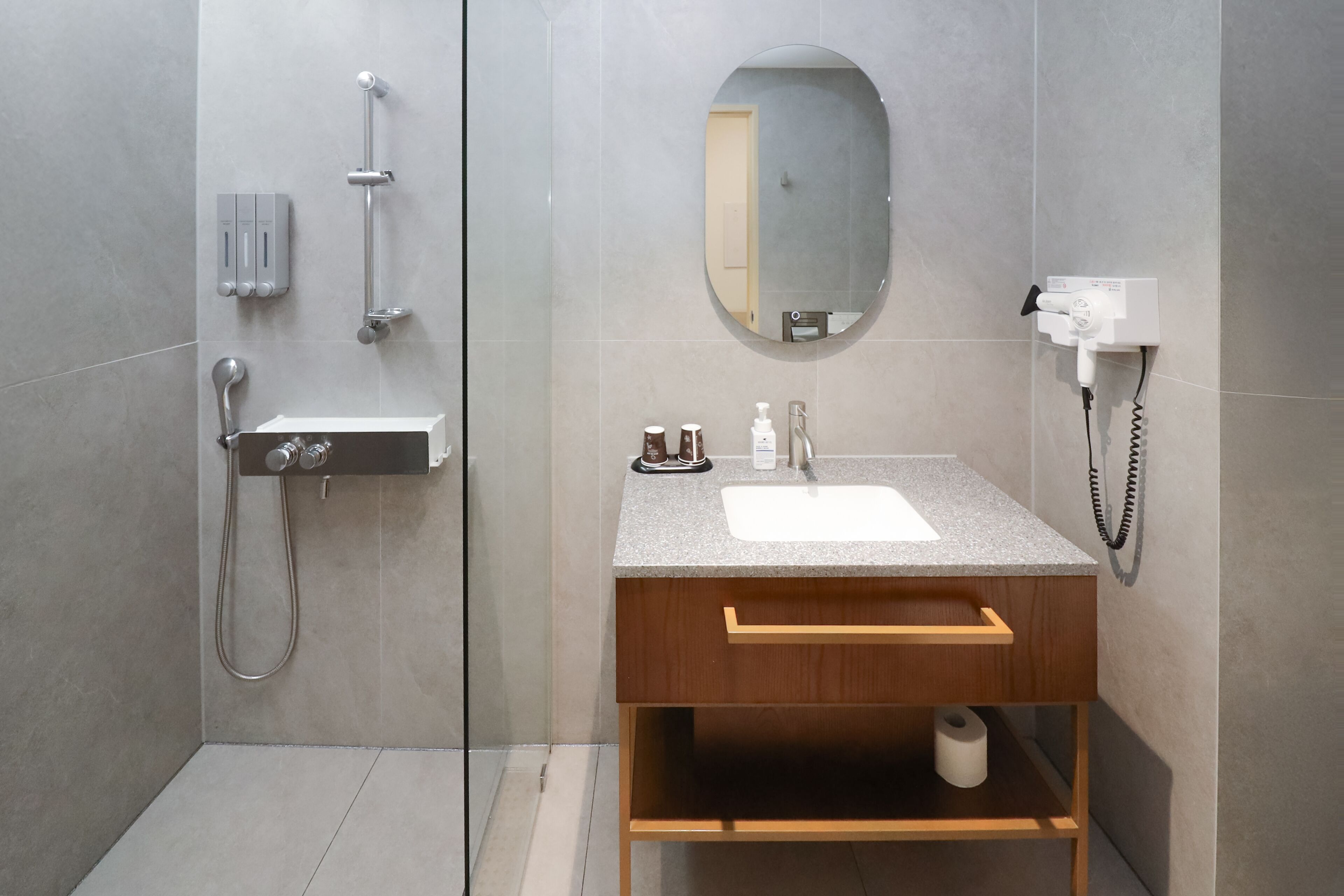 A modern bathroom with a shower, a sink, and a mirror.