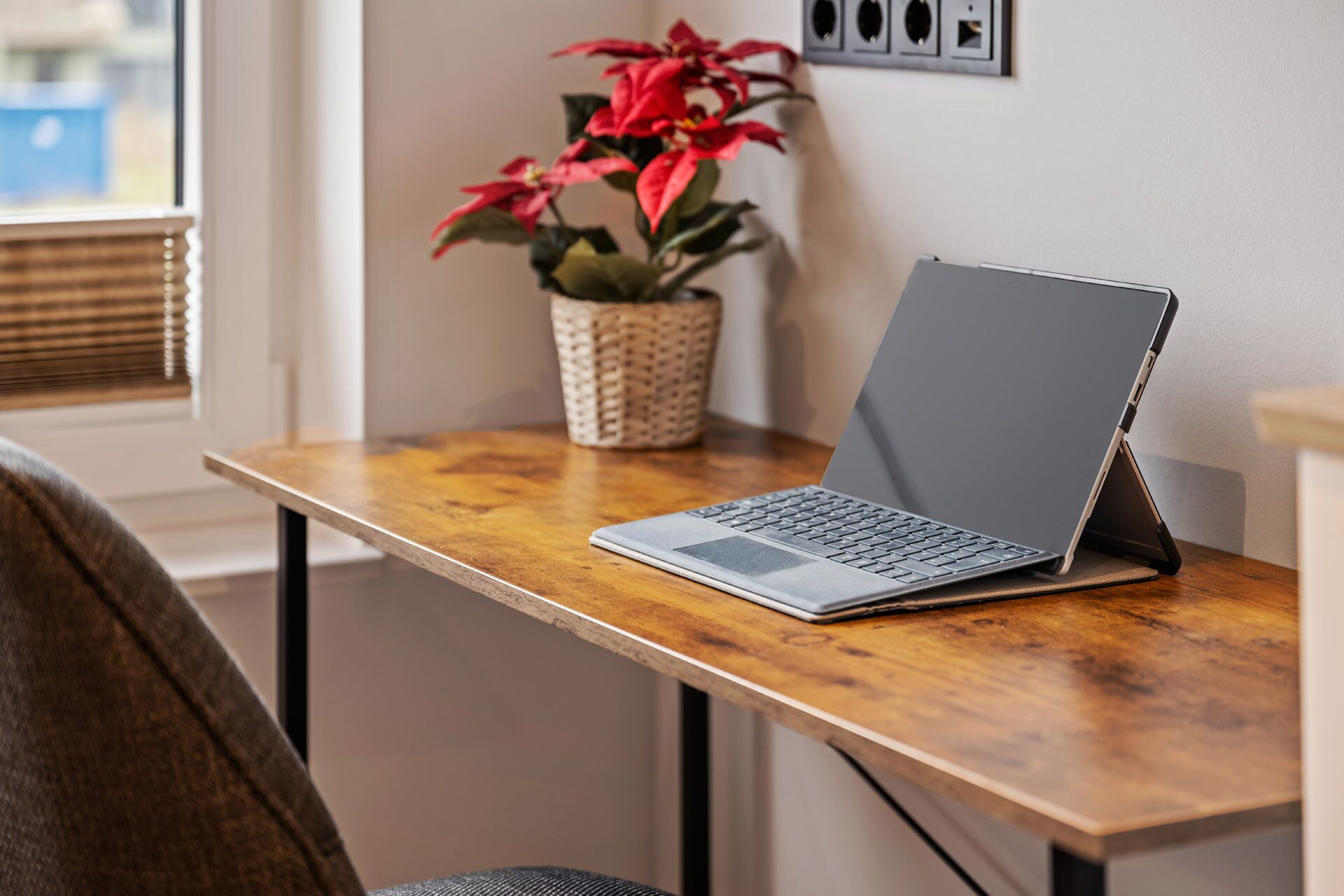 A laptop on a wooden desk with a potted plant beside it.