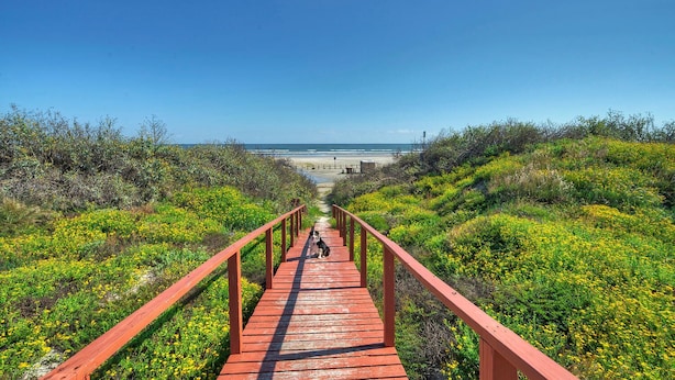 A wooden boardwalk leading to a beach with a dog sitting at the end. - Family Studio • Beach Boardwalk + Shared Pools | Golf Cart Zone | Beach Bungalow (Port Aransas)