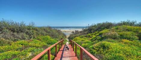 Playa en los alrededores