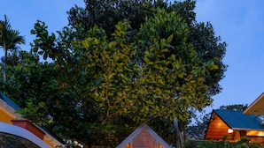 A covered entrance with a wooden archway leading to a brick pathway. - Casa Bella (Peermade)