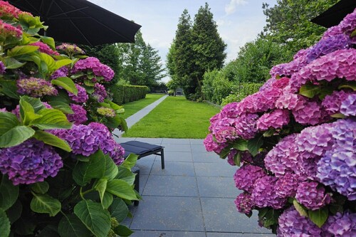 Bauernhofaufenthalt in der Nähe von Bronkhorst