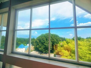 Deluxe Double Room | View from room