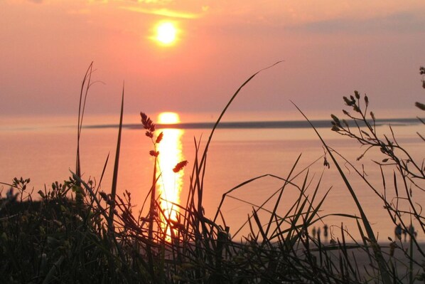 Nära stranden