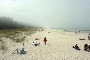 Nära stranden