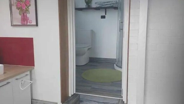 Un escalier menant à une salle de bain équipée de toilettes, avec une petite plante et un tapis vert.