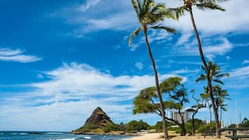 Plage, serviettes de plage