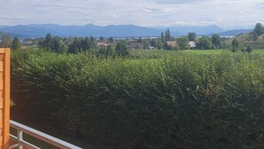 A balcony with a view of a vineyard and distant mountains. - Ruhige Ferienwohnung am Stadtrand von Lindau Inmitten von Wiesen und Obstbäumen (Lindau (Bodensee))