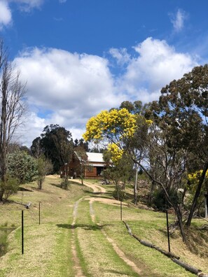 Property grounds - Loft Haven at Girraween Full house 1 bedroom with queen bed near National Parks (Wyberba)