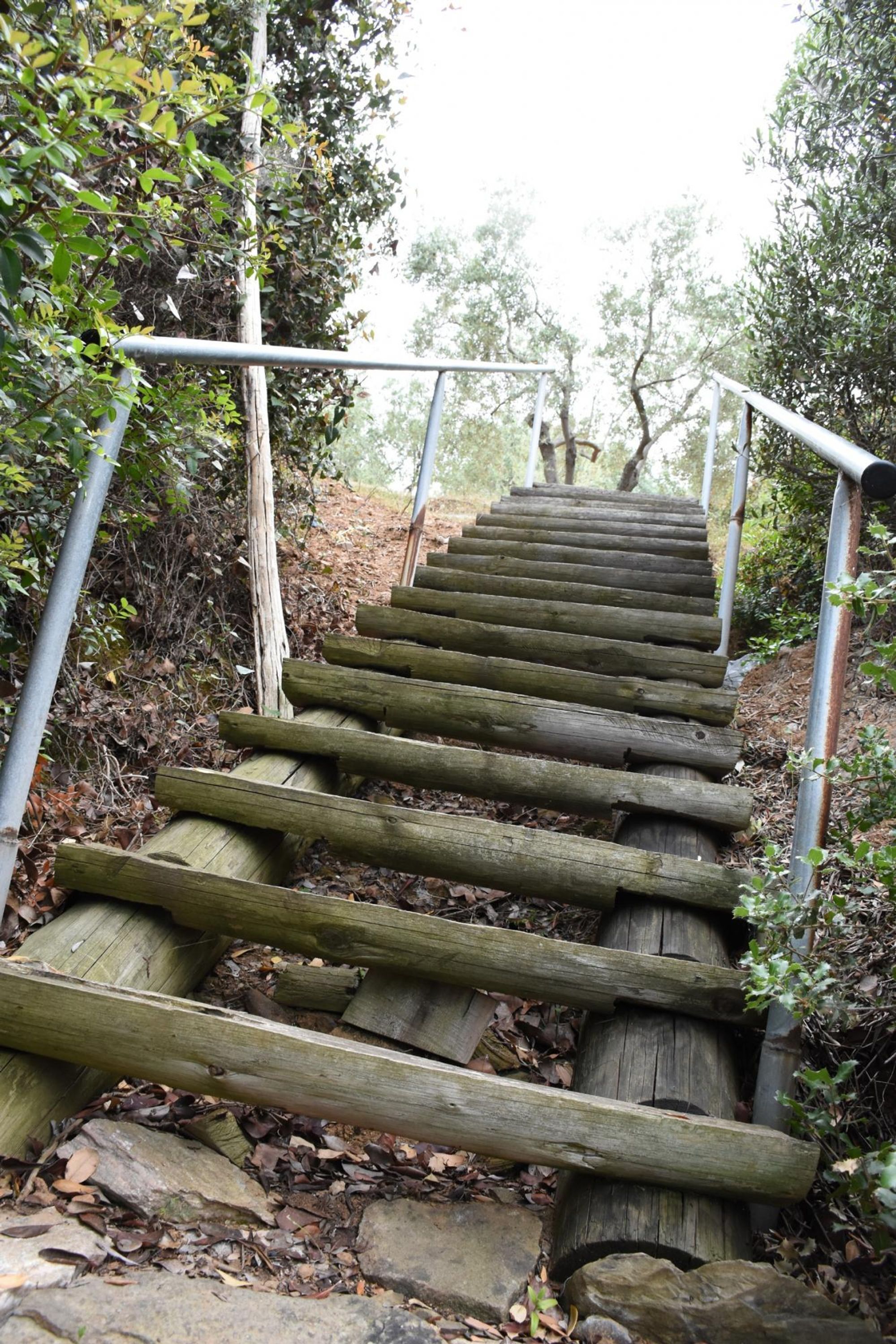Una escalera de madera con barandas de metal, rodeada de árboles y follaje.