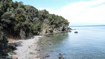 Apartment | 2 bedrooms, desk