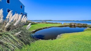 A blue house with a pond and grass in front. - Jolly Roger (North Topsail Beach)