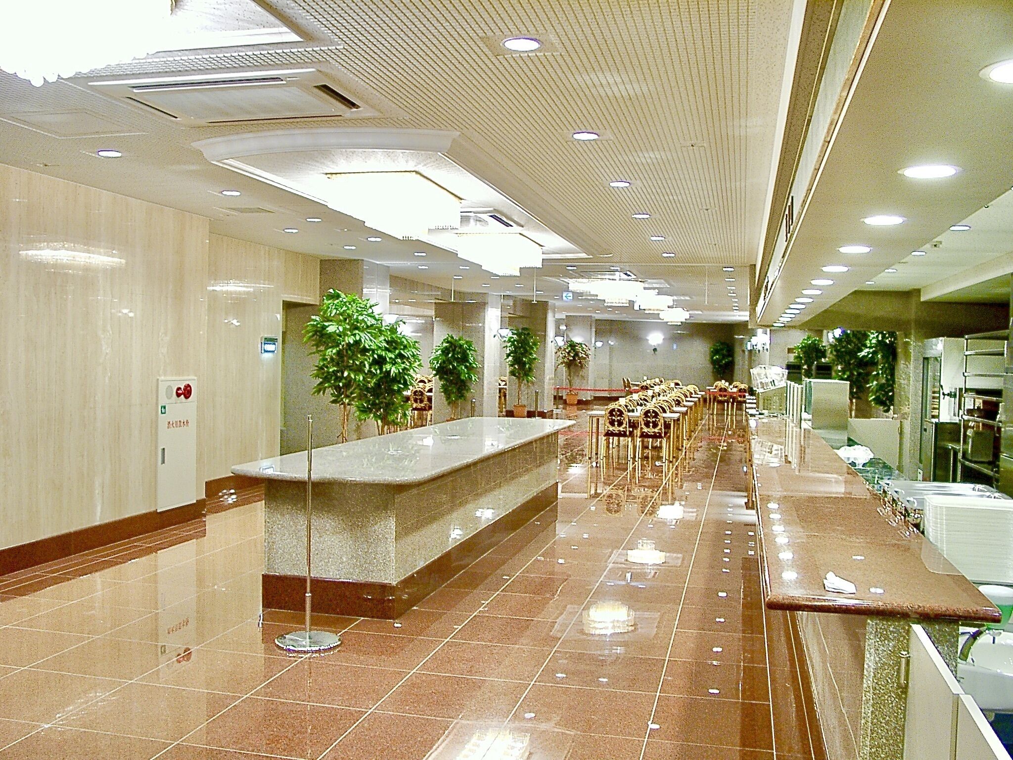 A spacious hotel lobby with a long reception desk, multiple seating areas, and several potted plants.