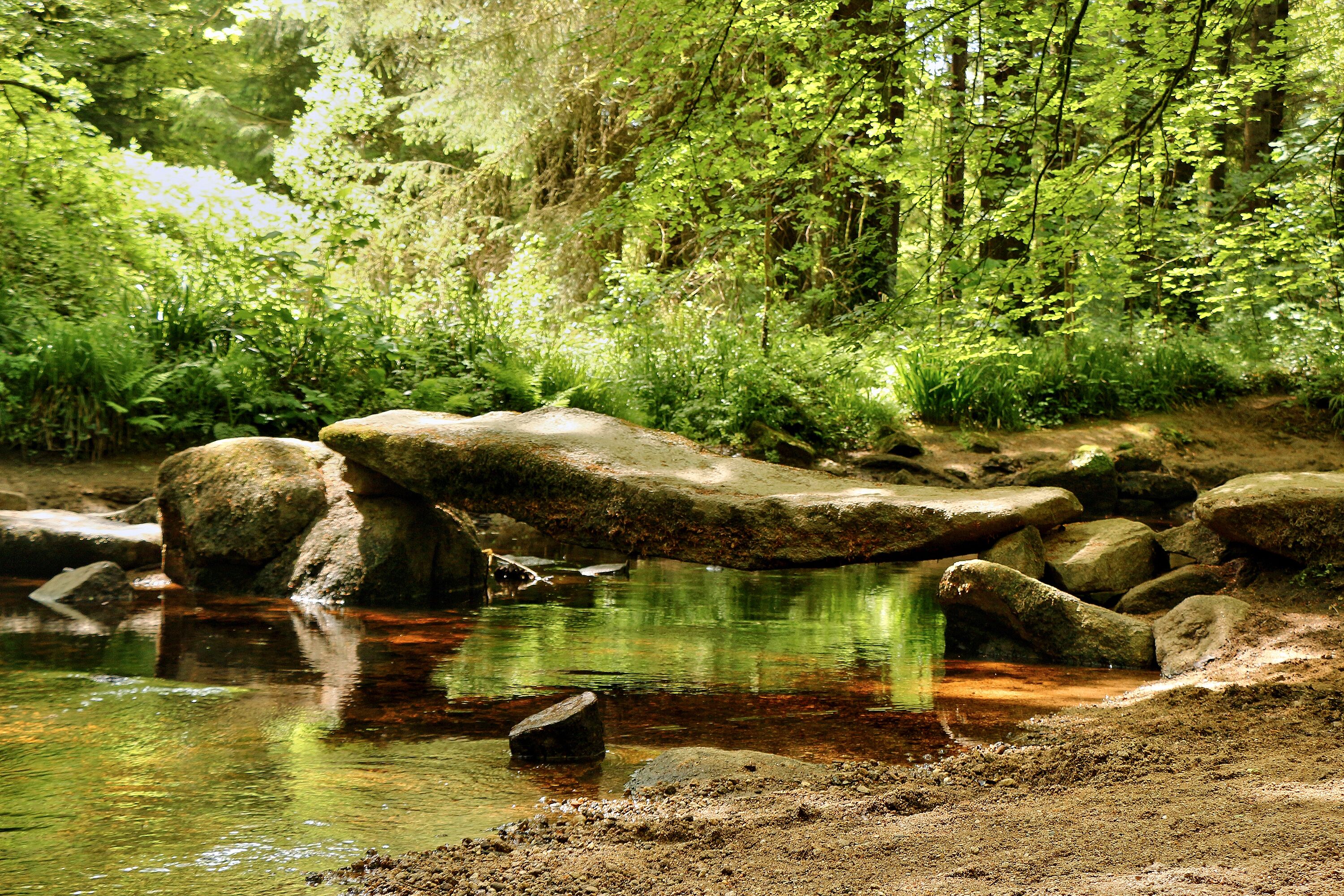 A natural outdoor setting with a stream, rocks, and dense greenery.
