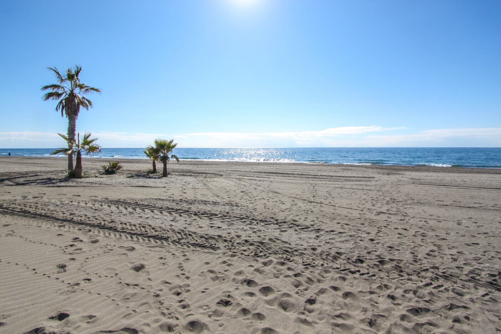 A sandy beach with footprints and palm trees.