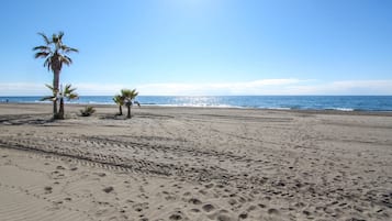 A sandy beach with footprints and palm trees.