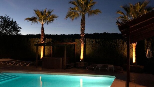 A swimming pool with a dolphin design, surrounded by palm trees and a covered seating area. - Casita of Casa Olivar (Tocón)