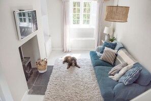 Uma sala de estar aconchegante com um sofá azul, um tapete macio, um cão, uma lareira e uma janela com cortinas.