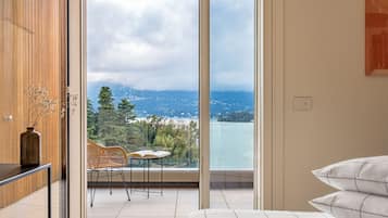 Deluxe Apartment | View from room