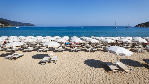 A beach with numerous white umbrellas and sun loungers arranged in rows. - Hotel Delfino (Marciana)